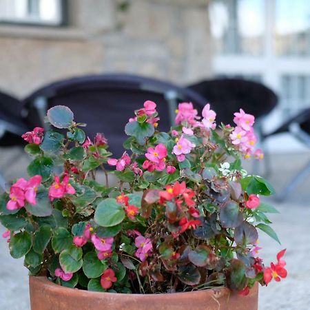 Paradamonte Casa Velhaヴィラ エクステリア 写真