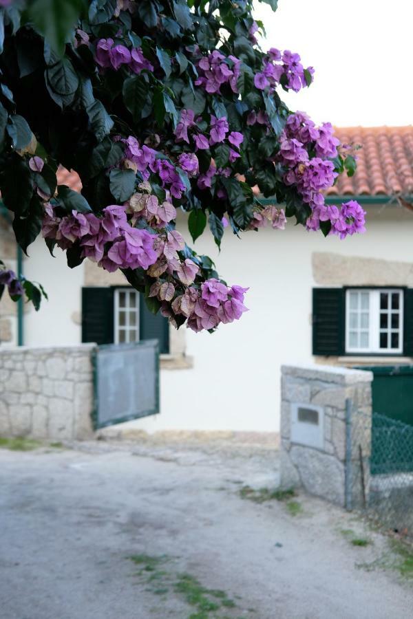 Paradamonte Casa Velhaヴィラ エクステリア 写真