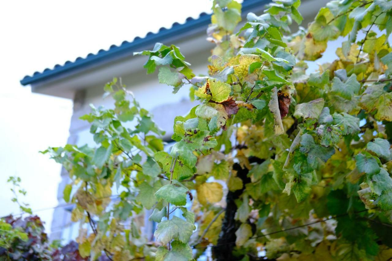 Paradamonte Casa Velhaヴィラ エクステリア 写真