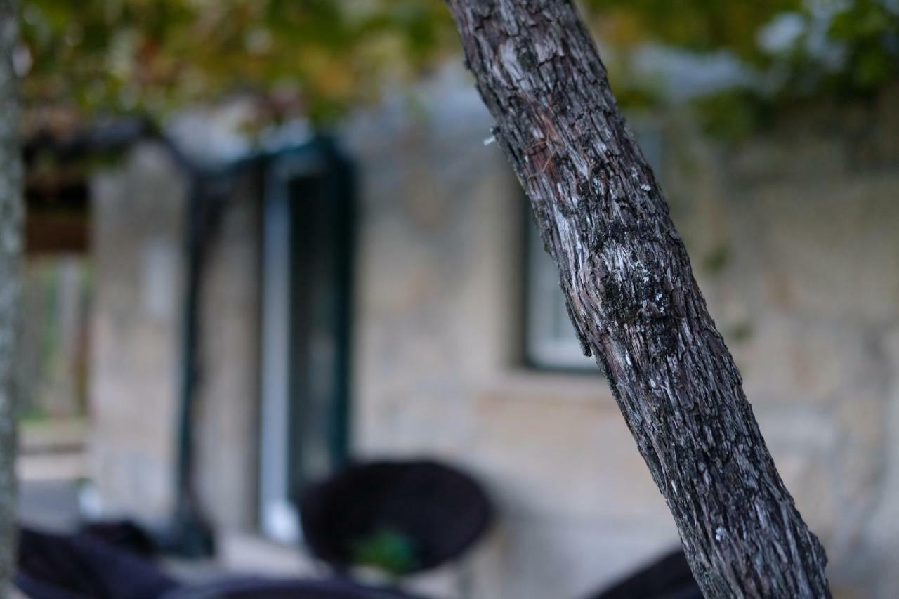 Paradamonte Casa Velhaヴィラ エクステリア 写真